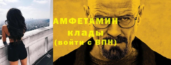 стаф Ельня