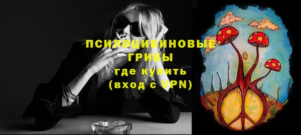 мяу мяу мука Гусь-Хрустальный