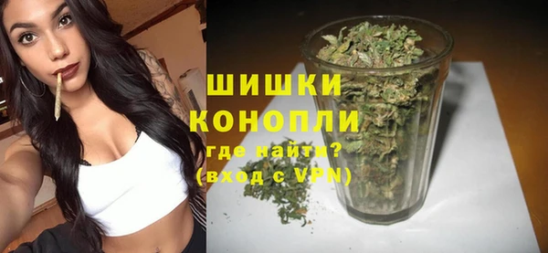 мяу мяу мука Гусь-Хрустальный