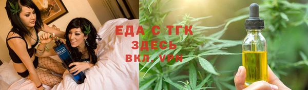 стаф Ельня