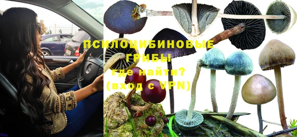 МДПВ Дмитриев