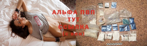 не бодяженный Гусев