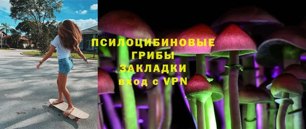 мяу мяу мука Гусь-Хрустальный