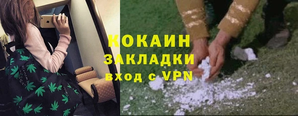 мяу мяу мука Гусь-Хрустальный