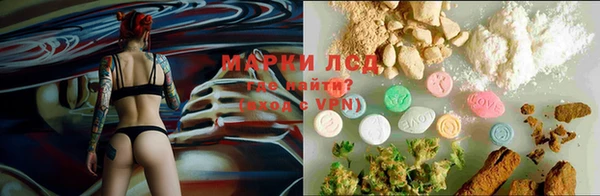 не бодяженный Гусев