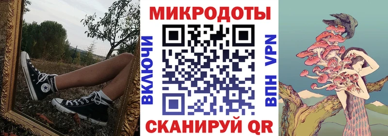 Купить где  Лаишево  Галлюциногенные грибы Cubensis 